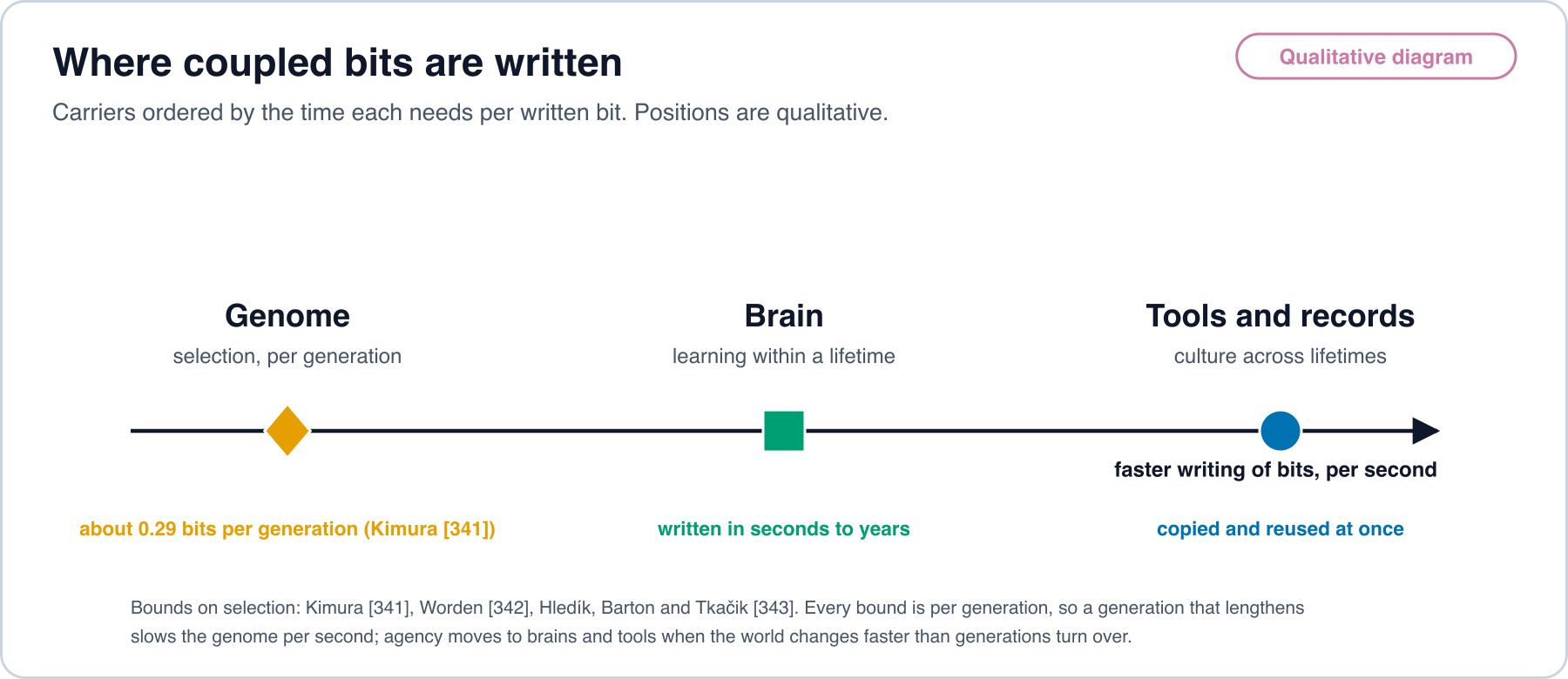 Qualitative diagram placing three carriers of coupled bits on an axis of writing speed per second: the genome, through selection per generation, at about 0.29 bits per generation by Kimura; the brain, through learning within a lifetime; and tools and records, through culture across lifetimes.